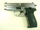 タナカ　SIG P228 ABS/SV (R)