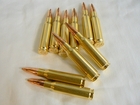 TOP　7.62×51mm NATO弾 10発ベルト付